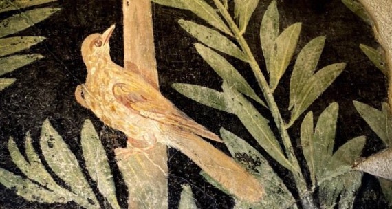 Affresco dalla Casa del Frutteto