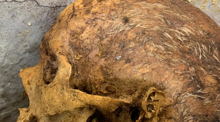 Tomba di Marcus Venerius Secundio rinvenuta a Pompei. Particolare del Cranio