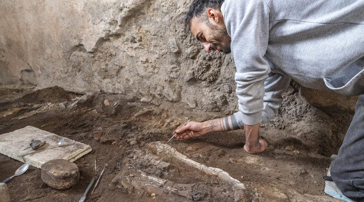 Pompei, due equidi dell’Insula dei Casti Amanti