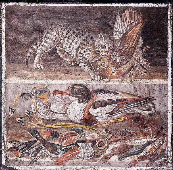 Mosaico, dalla Casa del Fauno a Pompei, ora conservato al MAN