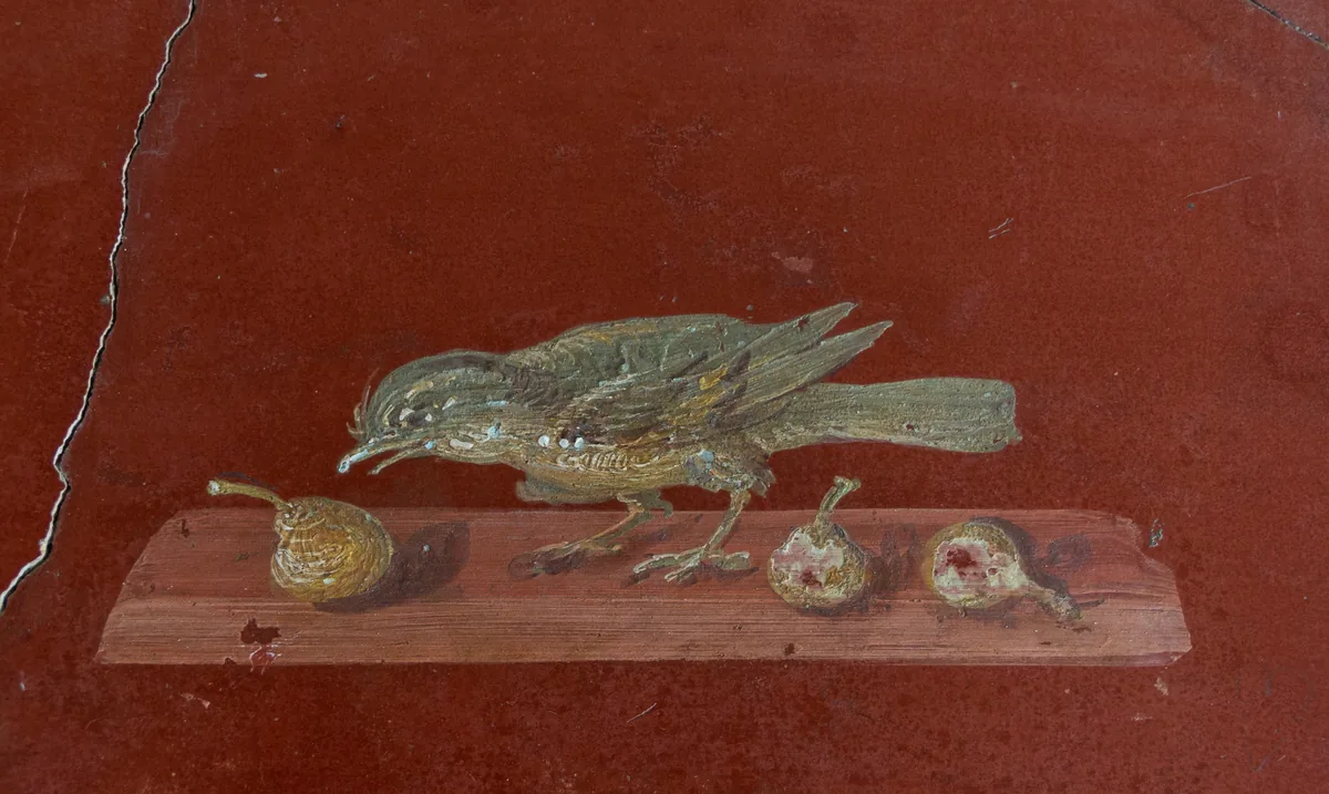 Affresco romano con un uccello che mangia fichi nella Villa di Poppea a Oplontis