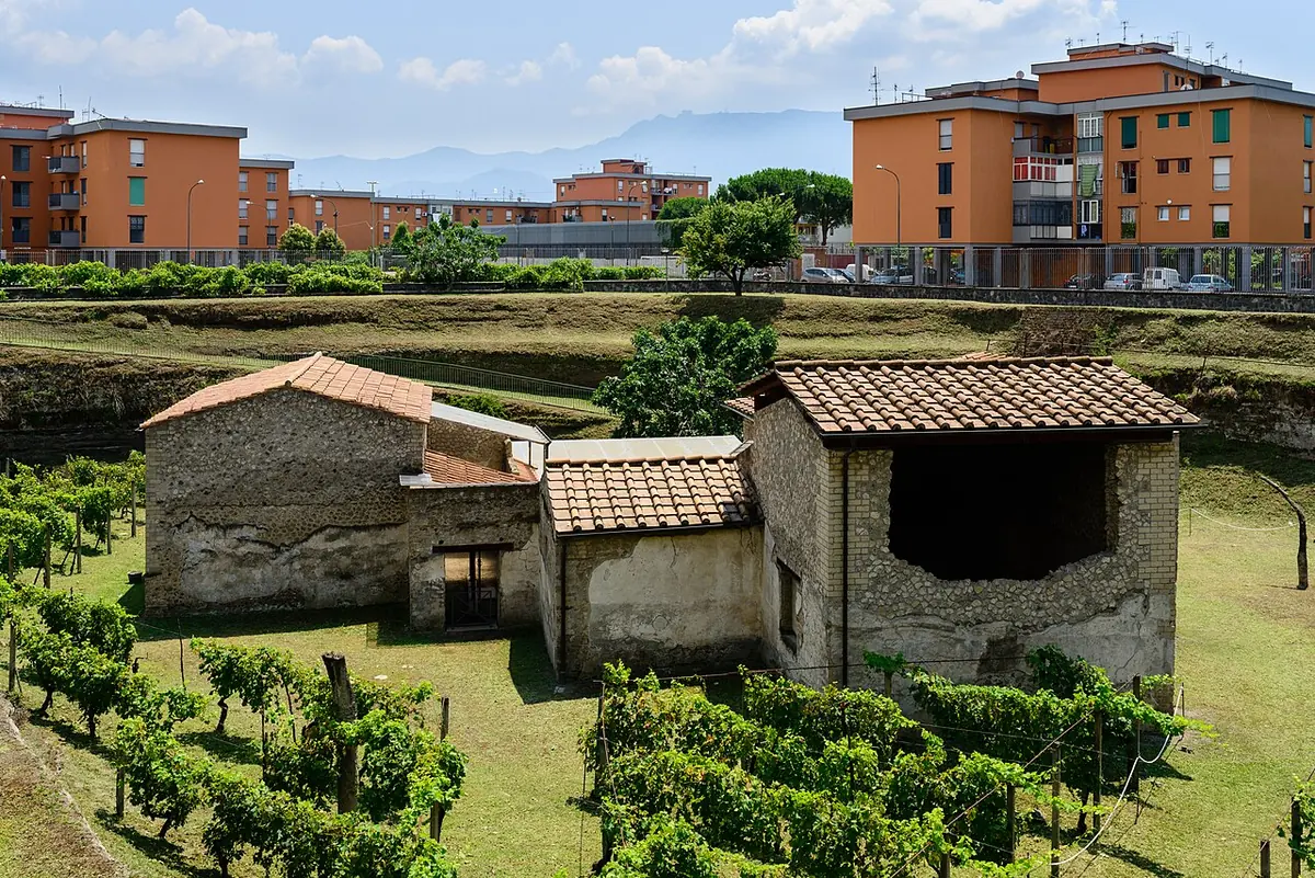 Villa Regina a Boscoreale, fattoria romana vicino Pompei